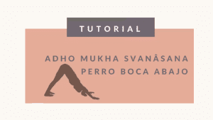 Lee más sobre el artículo Perro Boca Abajo