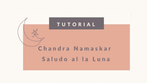 Lee más sobre el artículo Chandra Namaskar