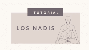 Lee más sobre el artículo Los nadis