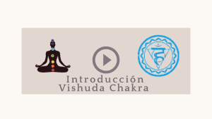 Lee más sobre el artículo Introducción Vishudi