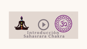 Lee más sobre el artículo Introducción Sahasrara
