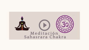 Lee más sobre el artículo Meditación Sahasrara