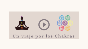 Lee más sobre el artículo Introducción a los chakras