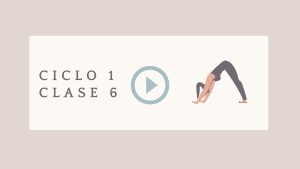 Lee más sobre el artículo Ciclo 1 Clase 6 – Flexión