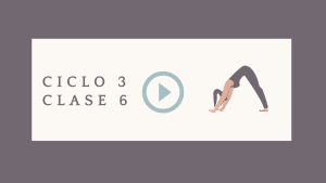 Lee más sobre el artículo Ciclo 3 Clase 6 – Flexión