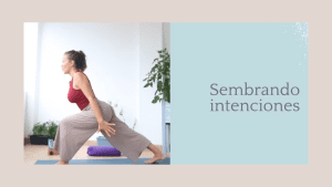 Lee más sobre el artículo Empezando ciclo nuevo. Otoño.