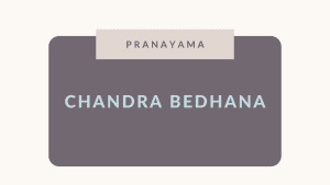 Lee más sobre el artículo Chandra bhedana Pranayama