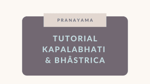 Lee más sobre el artículo Tutorial Fuelle y Fuego