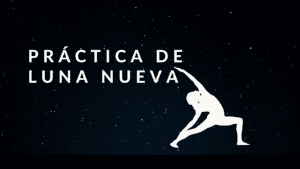 Lee más sobre el artículo Luna Nueva