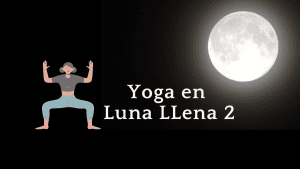 Lee más sobre el artículo Luna llena 2