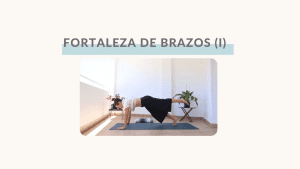 Lee más sobre el artículo Fortaleza de brazos I