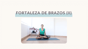 Lee más sobre el artículo Fortaleza de brazos II