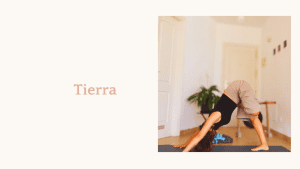 Lee más sobre el artículo Tierra